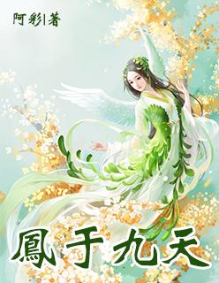 凤于九天系列