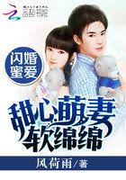 闪婚萌妻甜蜜蜜叶安心