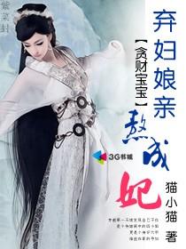贪财宝宝弃妇娘亲熬成妃讲什么