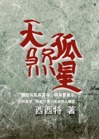 天煞孤星小夫郎txt