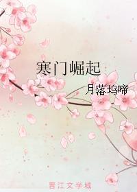 寒门崛起朱平安结局