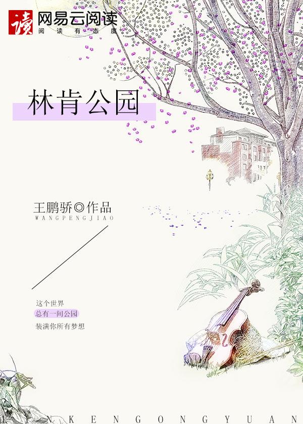 林肯公园大电影