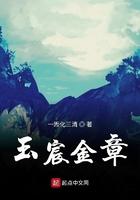 玉宸金章sodu