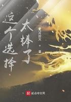 这个选择太棒了电子书