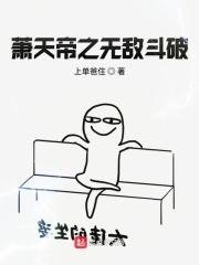 斗破之从萧炎兄弟萧天